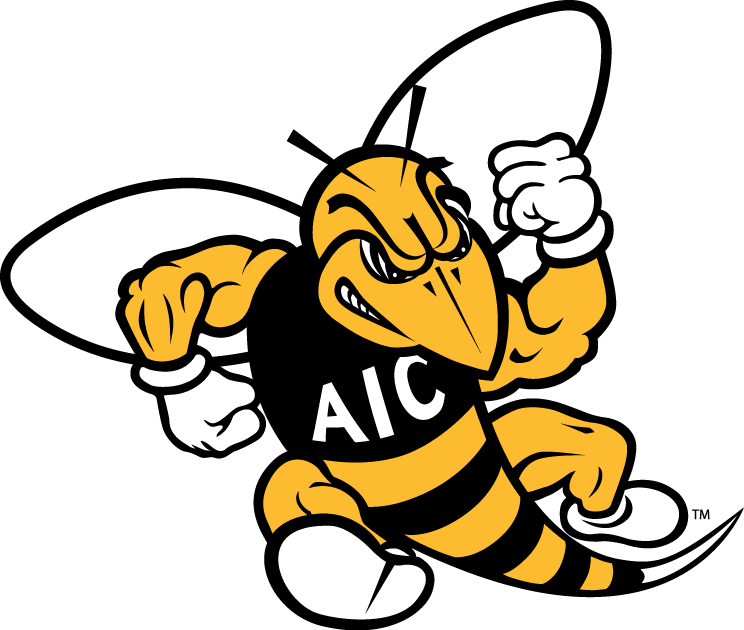 AIC Yellow Jackets iron ons